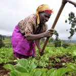 Woman-Farmer